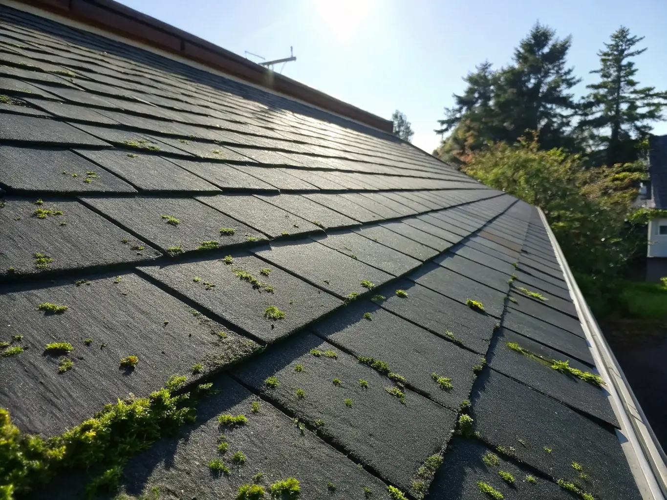 A high-angle shot of a newly installed residential roof with asphalt shingles, showcasing clean lines and proper ventilation. The image should convey durability and aesthetic appeal, set against a clear blue sky.
